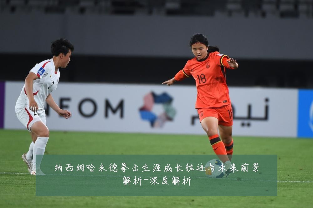 纳西姆哈米德拳击生涯成长轨迹与未来前景解析-深度解析