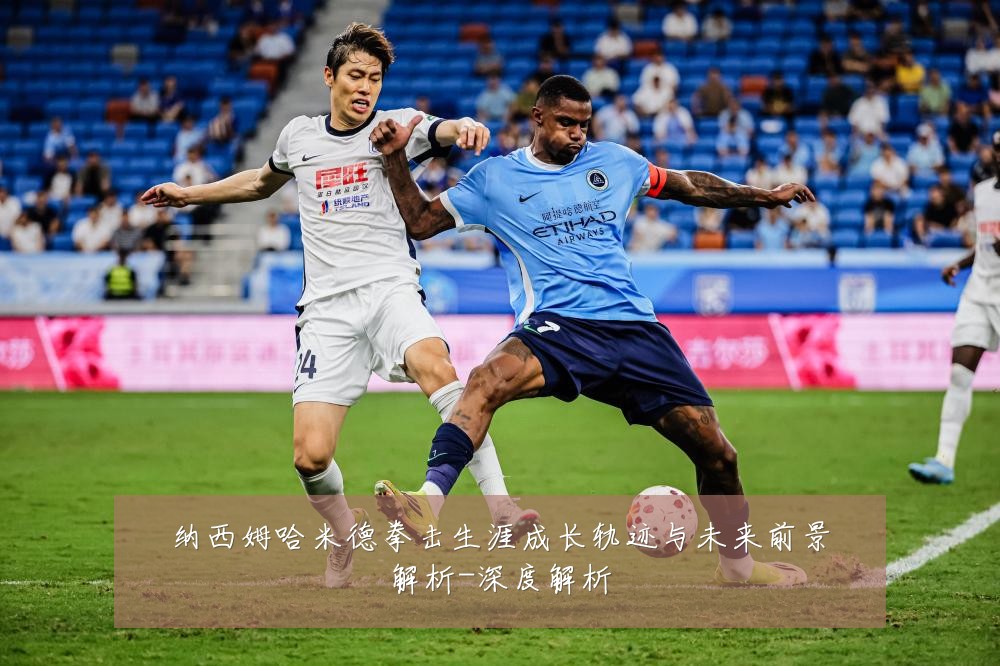 纳西姆哈米德拳击生涯成长轨迹与未来前景解析-深度解析